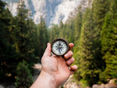 compass and trees